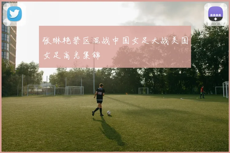 张琳艳禁区混战中国女足大战美国女足高光集锦