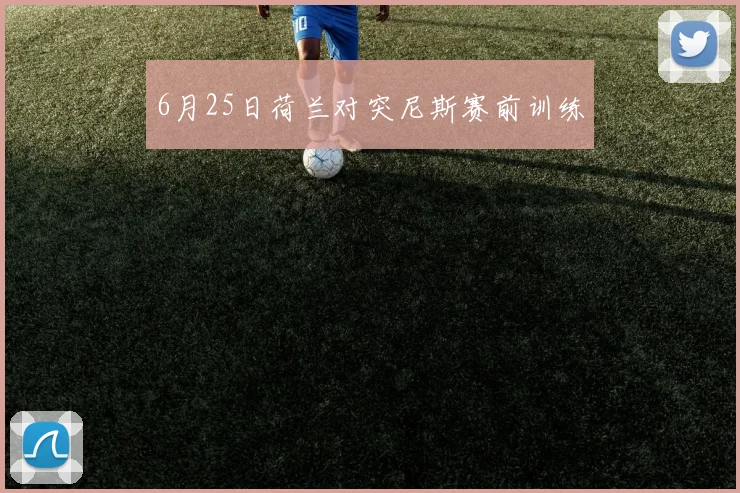 6月25日荷兰对突尼斯赛前训练
