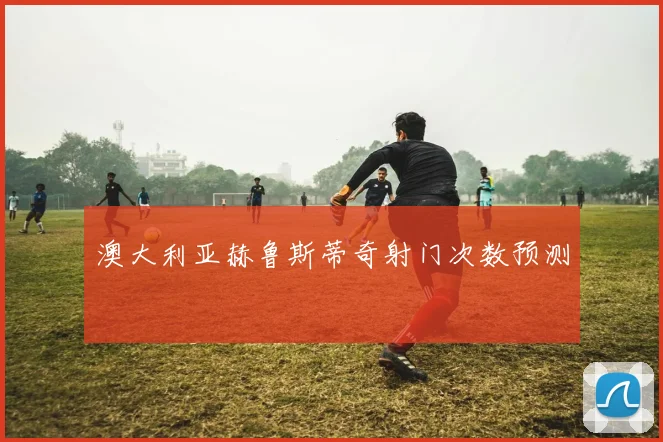 澳大利亚赫鲁斯蒂奇射门次数预测