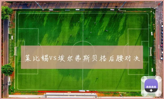 莱比锡vs埃尔弗斯贝格后腰对决